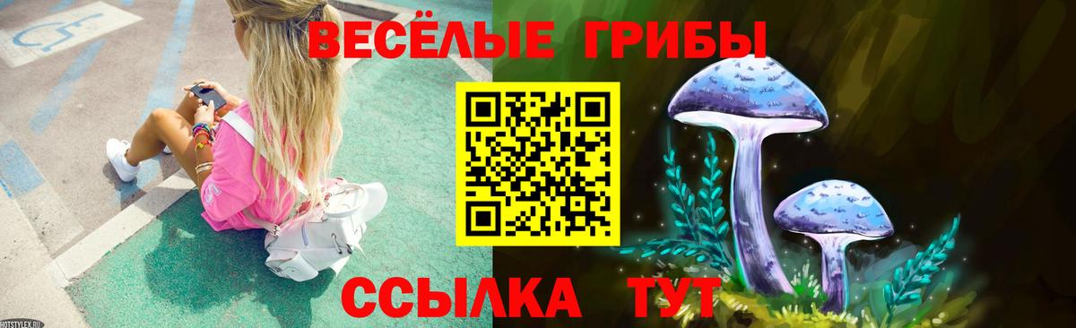 Псилоцибиновые грибы GOLDEN TEACHER Ярославль
